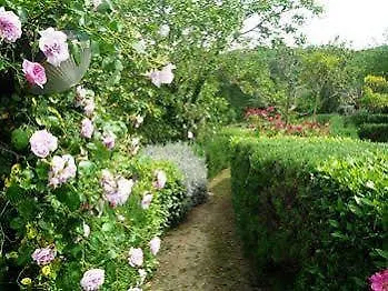 Il Casello Country House B&B Greve in Chianti